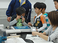 薄くした岩石は、光の見え方に影響します。