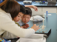 現生の鳥の骨格と恐竜のものを比べてみます。