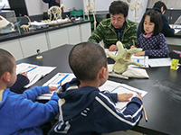 恐竜の首の特徴をスケッチしながら観察します。