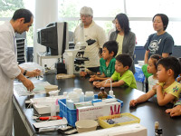 標本の作成方法についての話です。