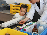 フィルムをラミネート加工して簡易標本とします。