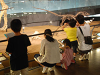 ニワトリと恐竜の骨格で共通する所・しない所は？