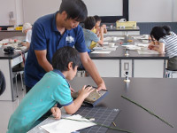 化石となったトクサ類の標本を観察します。