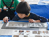 自分で作ったレプリカをじっくり観察します。