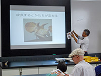 恐竜が大人になるにつれ、どんな変化があるでしょう。