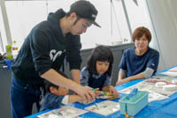 化石はもともとは、どんな色だったのかな？