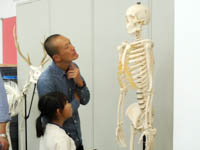 博物館自然教室「ひとかけらの骨が明かす動物の正体」のイメージ