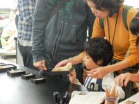 箱に入った様々な「ホネ」。一体何のホネでしょう？