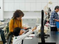 もしかして思いがけない動物の物かも知れませんね。