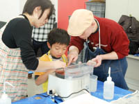 博物館自然教室「化石のペーパーウェイトをつくろう」のイメージ