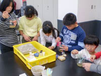 博物館自然教室「ミクロの世界」のイメージ