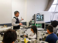 顕微鏡で見るような小さな化石の解説です。