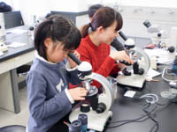 ようやく見つけた化石を観察します。