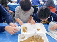 ドロの中にかくれているよ。よく見てみて。