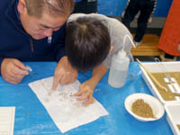 お！たくさん見つけられたみたいだね！