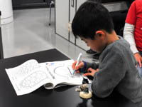 カメの体の中の仕組みを理解できたでしょうか。