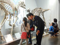 調査した骨化石は、どの恐竜の物だったでしょうか。