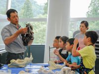 博物館自然教室「肉食獣の歯を調べよう」のイメージ