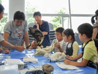 様々な肉食獣の歯を比較して、違いを観察します。