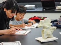 博物館自然教室「恐竜のくびを調べよう」のイメージ