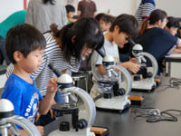 博物館自然教室「石をしらべよう」のイメージ