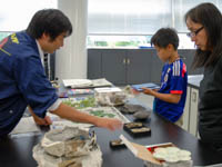 博物館自然教室「恐竜時代から生きていた植物を使って遊んでみよう」のイメージ