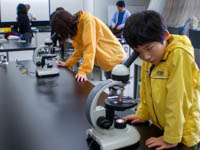 実際の骨化石の断面を顕微鏡で確認します。