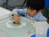 博物館自然教室「木の化石をとかしてはがしてみよう」のイメージ