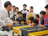 木の化石の薄片作りの工程についてのお話です。