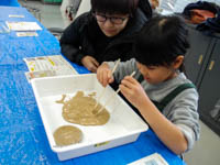 土の中から、金色に光る鉱物をさがします。