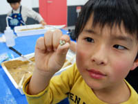 あった！これかな？