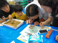 同じ鉱物でも違う形の物が見つかったかな？