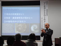 博物館セミナー「連携博物館講座：アンモナイト・ワールド ―恐竜時代の海の物語―」のイメージ