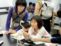 博物館自然教室「ひとかけらの骨からわかる動物の正体」のイメージ