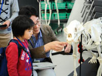 他の骨格の中で似ている骨がないか観察します。