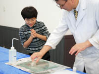 博物館自然教室「化石のペーパーウェイトをつくろう」のイメージ