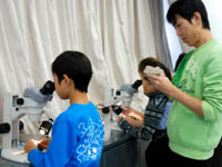 石の表面に化石の断面が見えていますか?