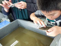 おや?何か気になる鉱物がありましたか?