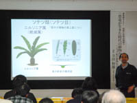 博物館セミナー「地球と生命の物語⑪ 恐竜が生きた時代の植物たち～ジュラ紀の植物化石をみよう～」のイメージ