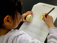 よく見ると特徴が観察できますね。