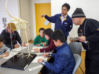 様々な動物の足の形を調べます。