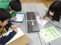 小さなトカゲの足も複雑な作りです。