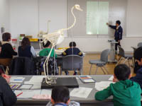 動物の足の基本形と、それぞれの特徴を解説します。