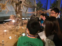 解説は恐竜の足にも当てはまるでしょうか。