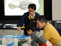 三葉虫の化石の特徴を観察します。