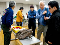 講演後に標本のレプリカを観察します。