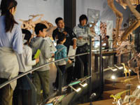 博物館自然教室「なぞの恐竜を研究しよう」のイメージ