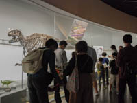 最後に答え合わせ。特徴を把握できたでしょうか。