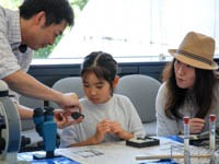 博物館自然教室「いろんな石を見くらべてみよう」のイメージ