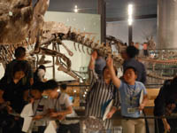 博物館自然教室「鳥の骨に残る恐竜の痕跡」のイメージ